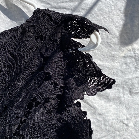 Black lace BB Dakota cocktail dress - Picture 3 of 7